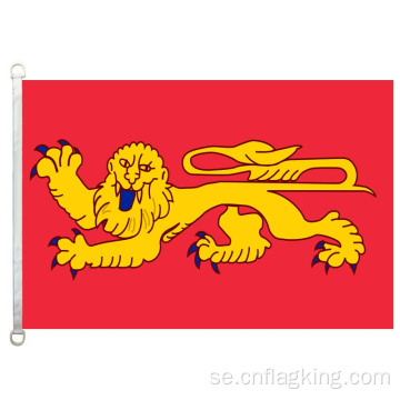 100% polyster 90 * 150 CM Aquitaine banner Aquitaine flagga